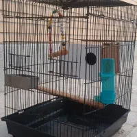 قفس پرنده باوسایل