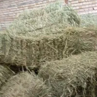 پرس یونجه چن ۳