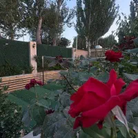 اجاره باغ و ویلا