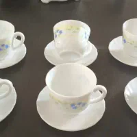 فنجان آرکوپال امارات