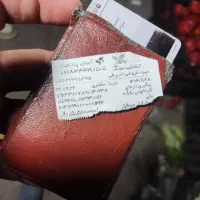 گم شده.