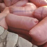 کاه