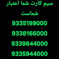 9338166000