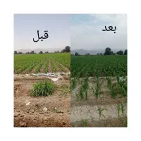 کود های ارگانیک با برنامه استفاده و بازدید مهندس