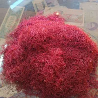 فروش زعفران نگین وریشه