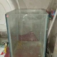 آکواریوم