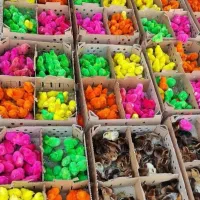 ارائه اردک پکن جوجه محلی رنگی مخصوص سال جدید