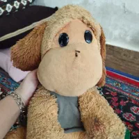 عروسک|اسباببازی بچه|اندیمشک, |دیوار