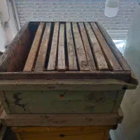 کندو وطبق|حیوانات مزرعه|صائین قلعه, |دیوار