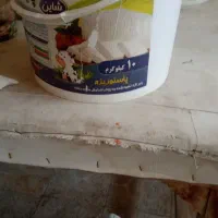 سطل ۱۰ کیلوی ۵ عدد  سالم
