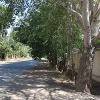۹۵۰ م ت ر(لشگراباد سهیلیه)