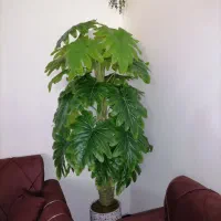 درختچه مصنوعی بزرگ سه تنه