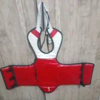 هوگو ولباس تکواندو
