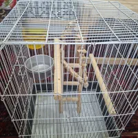 قفس پرنده