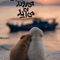 خط تلفن همراه۰۹۱۵۵۱۳۶۹۷۰