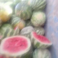 هندوانه