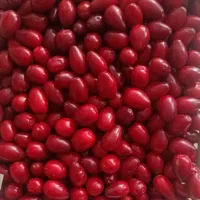 ذغال اخته تازه