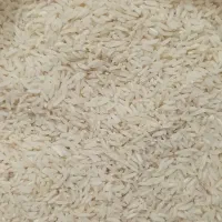 برنج هاشمی،فجر،شیرودی