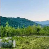 فروش زمین در کودیان