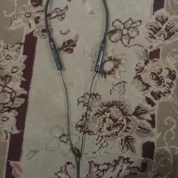 حنسور گردنی