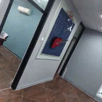 کاغذدیواری،بلکا سرتاسر نقاط شهر