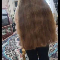 با بالاترین قیمت خریداریم مو