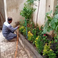 کلیه کارهای باعبانی و سم پاشی در مشهد واطراف مشهد