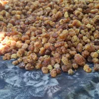 توت خشک افتابی