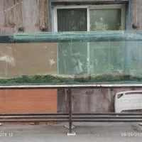 اکواریوم