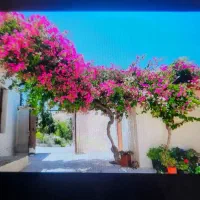 خانه-ویلایی-60-متر-خیام