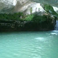 تور یک سربست سپیدان