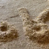 کاه نرم گندم ۲۱۵۰۰