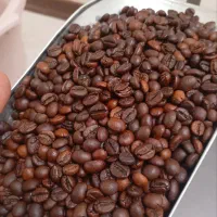 فروش عمده دان قهوه ، ارسال سریع ، قیمت رقابتی