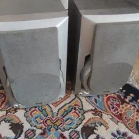 باندالجی سالم