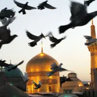 پابوس امام هشتم مشهد