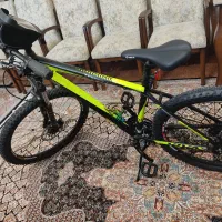 دوچرخه ویواحرفه ای