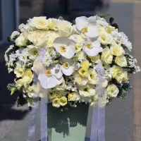 باکس گل لیندا کد ۱۷۰۳ گلاریس