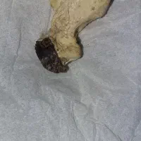 مهره