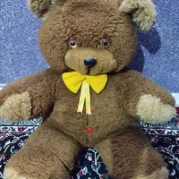 شاسخین
