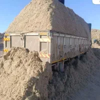 تفاله نیشکر برای گاو مقوی ارزان