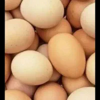 تخم‌مرغ‌محلی
