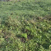 زمین ویلایی در گردنه حیران روستای مشند