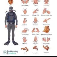 فروش خط رند ۹۱۲۱۴۶۱۵۵