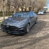 سوناتا پلاک دائم ارس