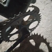 تنه