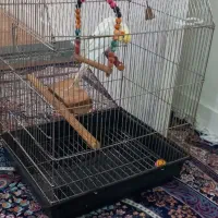 قفس پرنده
