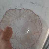 ظرف میوه خوری (فروش فوری)