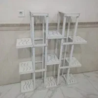 جای گل|گل و گیاه طبیعی|مریوان, |دیوار