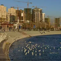 آپارتمان-اجاره-ای
