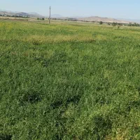 دسته کارگر کل استان